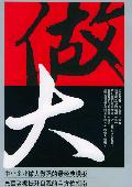 做大: 民营企业提升自我的全方位指南