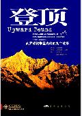 登顶: 商界领袖攀登高峰的九个故事