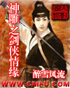 神雕之剑侠情缘