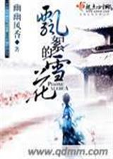 飘絮的雪花