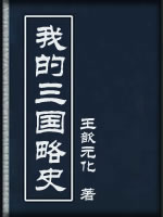我的三国略史