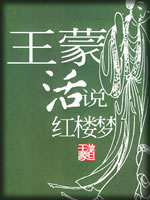 王蒙活说红楼梦