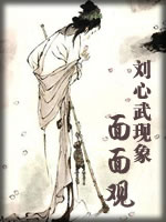 刘心武现象面面观