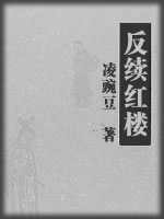 后续红楼-(清)凌豌豆