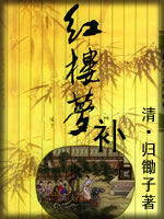 红楼梦补-(清)归锄子