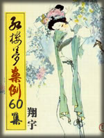 红楼梦案例60集-翔宇