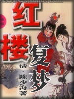 红楼复梦-(清)陈少海