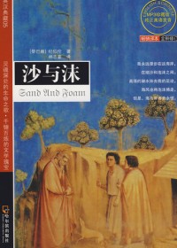 沙与沫