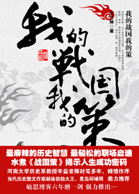 我的战国我的策