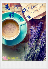 薰衣草的眼泪
