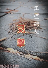 黑道总裁的反击