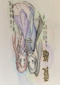 霞觞