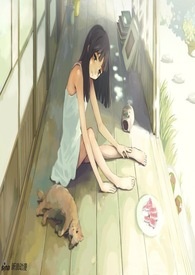 宁夏的猫之步