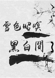 《雪色昭暝黑白间》