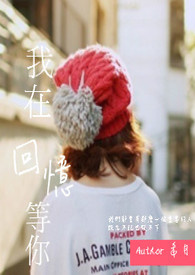 我在回忆等你