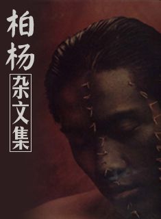 柏杨杂文集