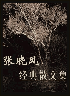 张晓风经典散文集