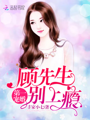 第一宠婚:顾先生,别上瘾