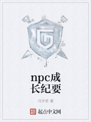 NPC成长纪要