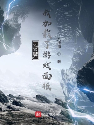 海贼:我加载了游戏面板