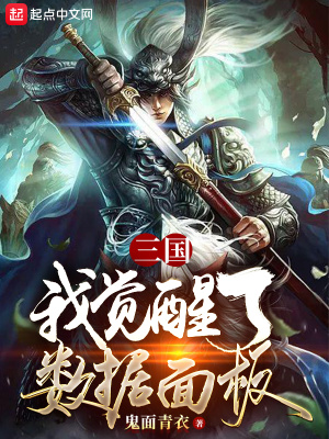 三国:我觉醒了数据面板