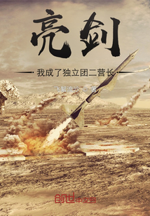 亮剑:我成了独立团二营长