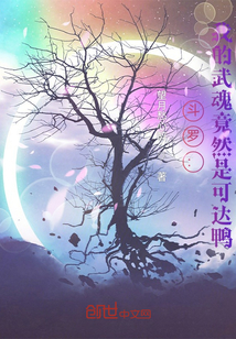 斗罗:我的武魂竟然是可达鸭