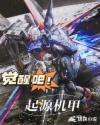 觉醒吧!起源机甲