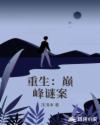 重生:巅峰谜案
