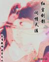 红尘剑影:问情天涯
