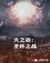 天之语:圣杯之战