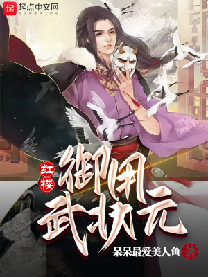 红楼:御用武状元