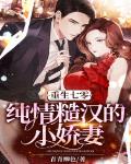 重生七零:纯情糙汉的小娇妻