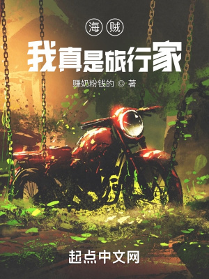 海贼:我真是旅行家