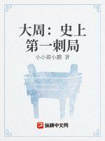 大周:史上第一刺局